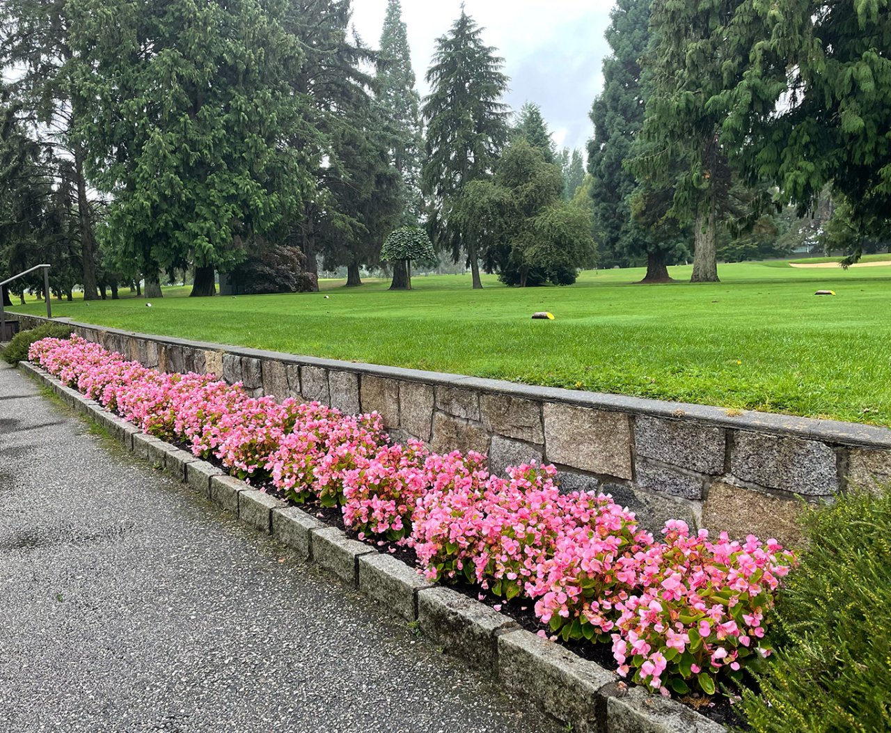 Curb garden.