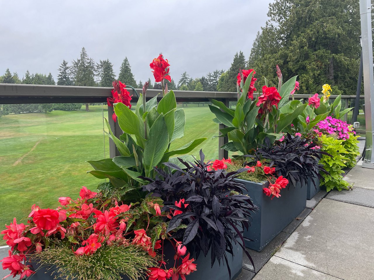 Flower decor.