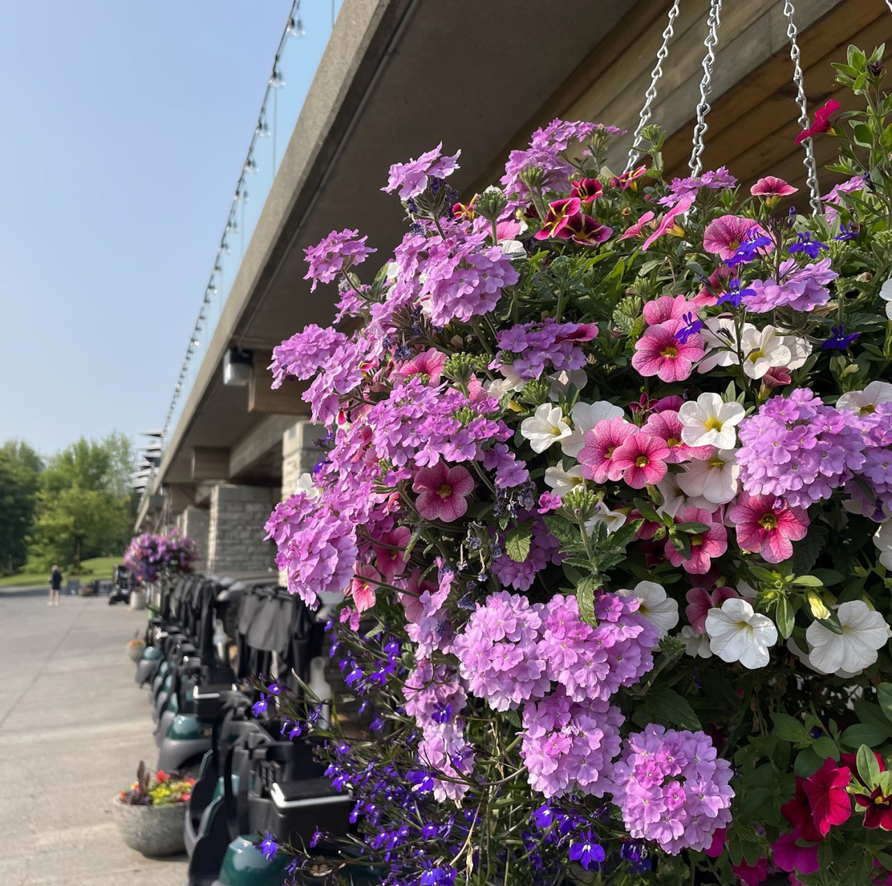 Flower hanging basket.