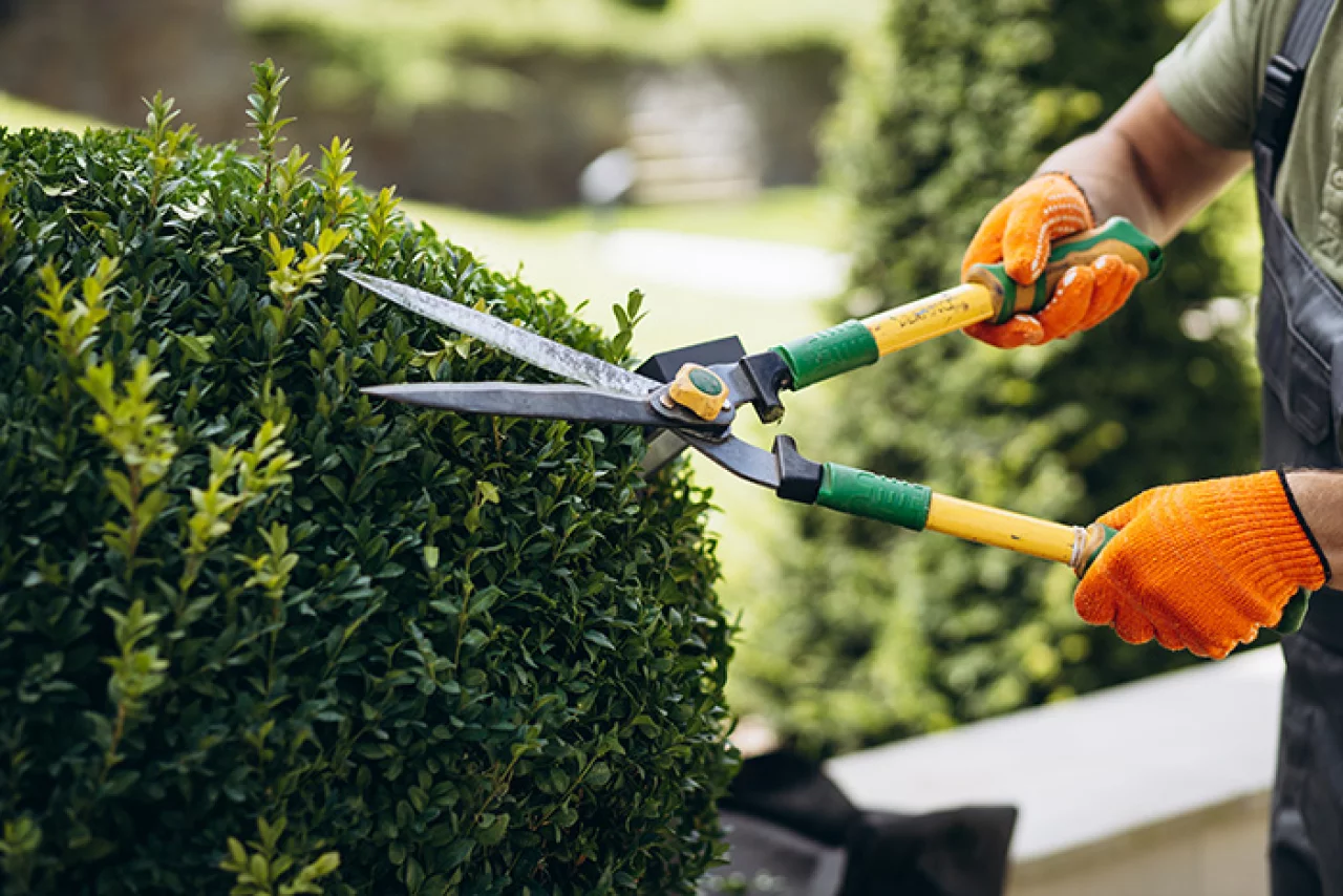 To meet with your guest’s expectations, it’s vital that your gardens are always in pristine condition. With blüm, you can rest assured your property will be cared for by a team of highly trained and skilled landscape professionals.